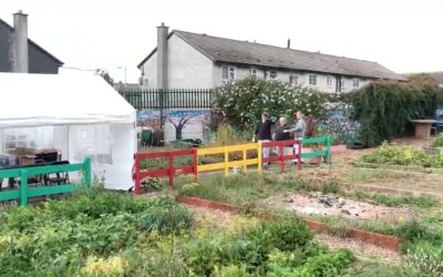 Social Inclusion at its Best