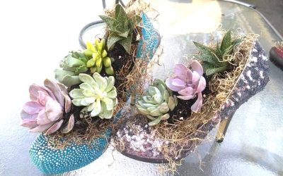 Ventures Wellness in Nature